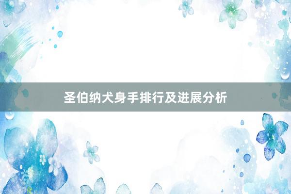 圣伯纳犬身手排行及进展分析