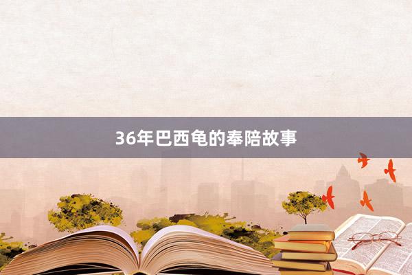 36年巴西龟的奉陪故事